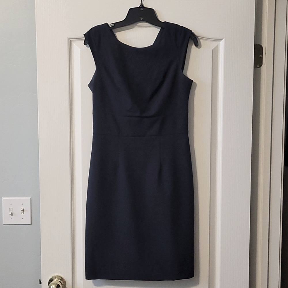 The Limited Navy Dress